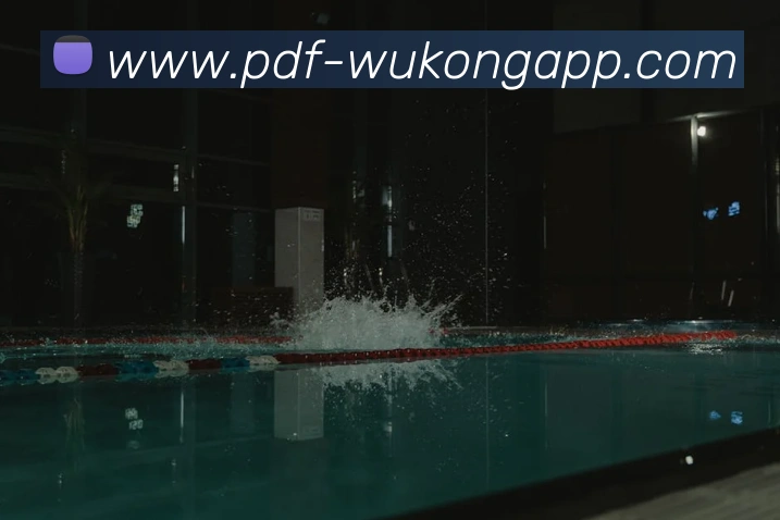 悟空体育全站App